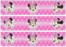 Minnie Mouse #2 Edible Icing Cake Strips